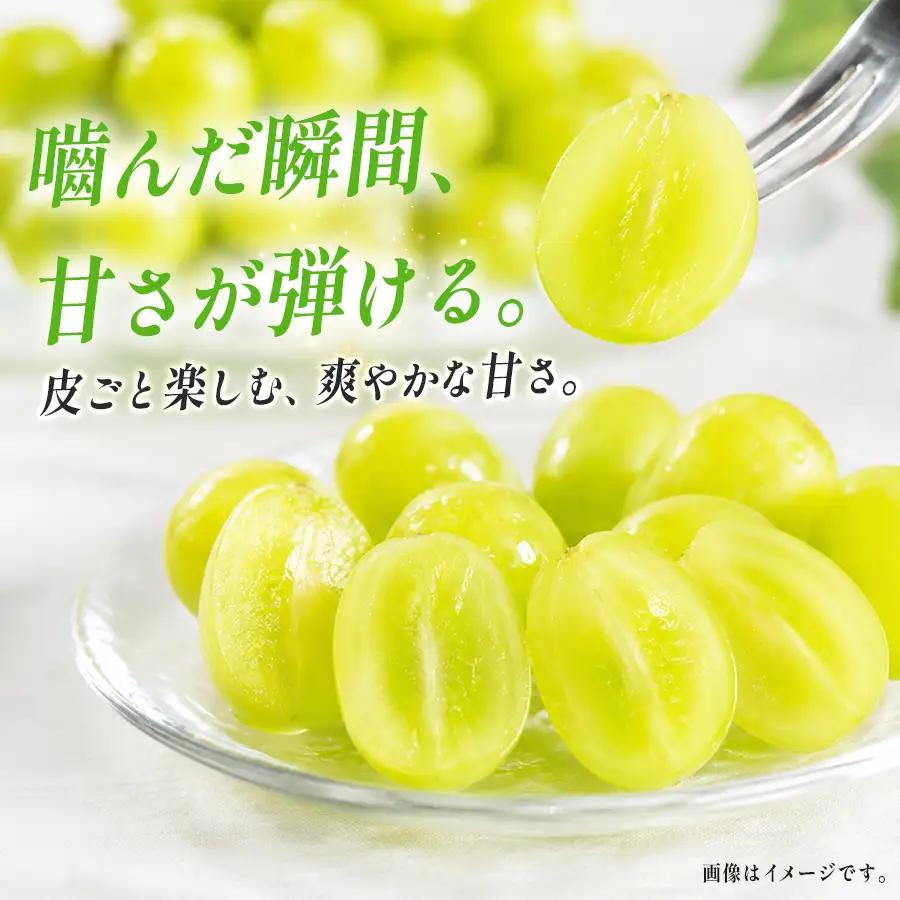 シャインマスカット 1房550g以上