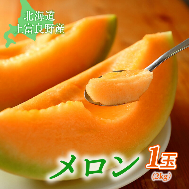 【ふるさと納税】【北海道上富良野町産】「ふらのメロン」（大玉・秀品） 1玉 果物類 フルーツ メロン赤肉 　お届け：2025年7月中旬～8月下旬