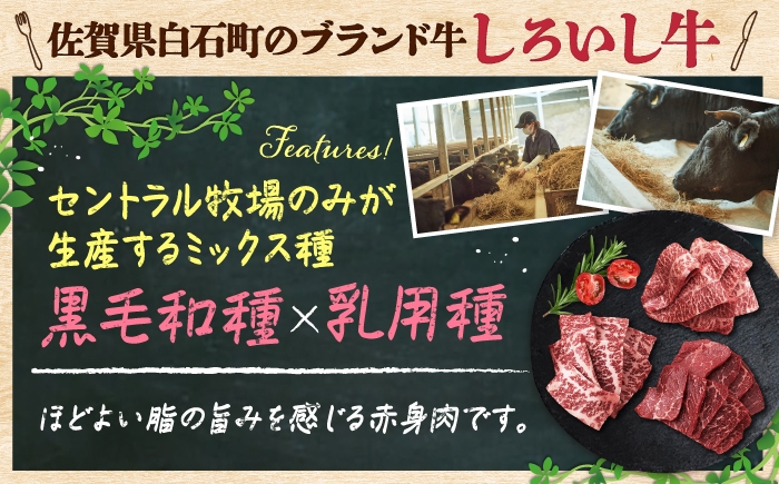 赤身好きの方におすすめ！焼肉盛り合わせ