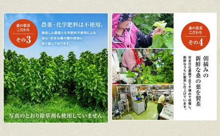 桑の葉茶 ティーバッグ3g×30P 1袋【株式会社 峯樹木園】[AYBM020]
