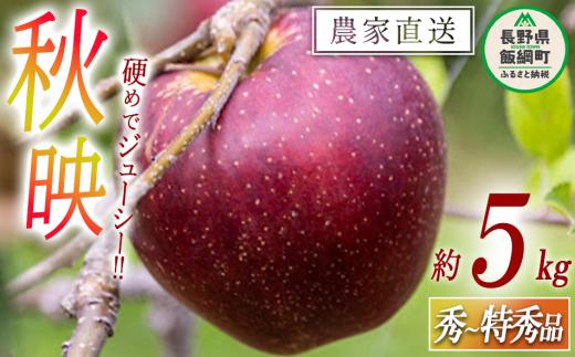 りんご 秋映 秀 ～ 特秀 5kg 松橋りんご園 沖縄県への配送不可 2025年10月上旬頃から2025年10月中旬頃まで順次発送予定 令和7年度収穫分 フルーツ リンゴ 信州 長野県 飯綱町 [0128]