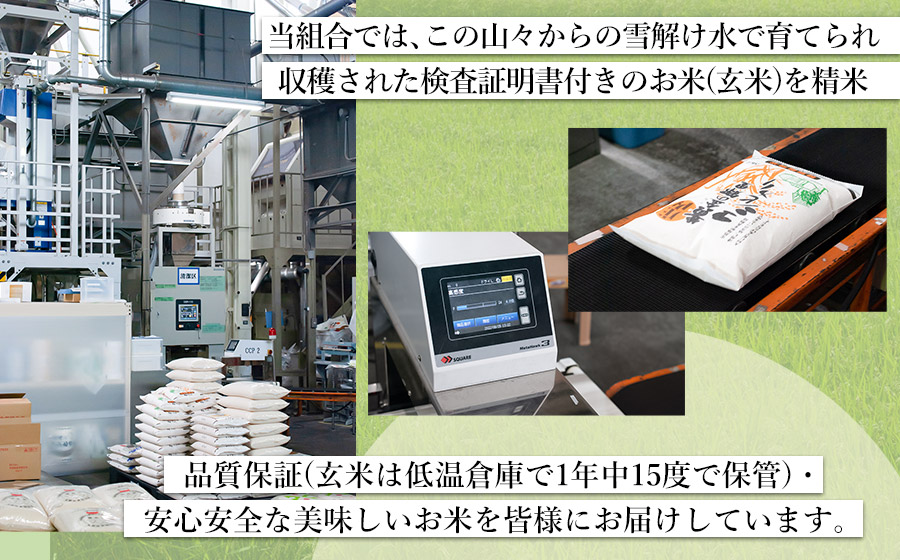 【令和6年産】特別栽培米 つや姫10kg (5kg×2)　山形県庄内産 鶴岡米穀商業協同組合