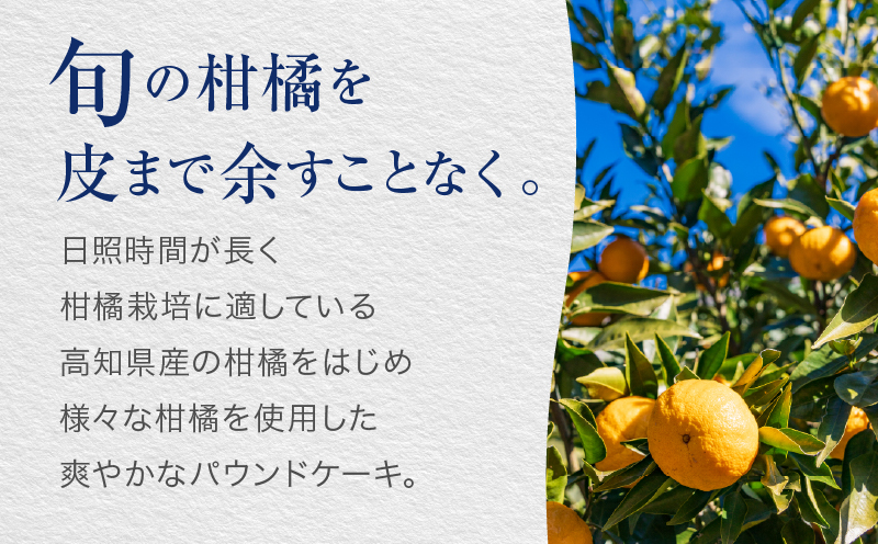 【INFINI】ケークシトロン【国産 レモンケーキ パウンドケーキ 爽やか しっとり濃厚 上品な甘さ 贅沢 ティータイム 贈り物 洋菓子 スイーツ デザート お取り寄せ】