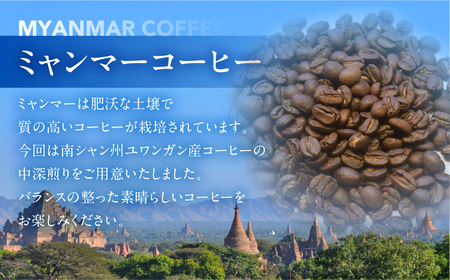 スペシャルティコーヒー豆 ミャンマーウォッシュド 200g×2　計400g【TAIYO COFFEE ROASTERS】ミャンマー 珈琲 コーヒー コーヒー豆 スペシャルティ スペシャリティ 下呂市【