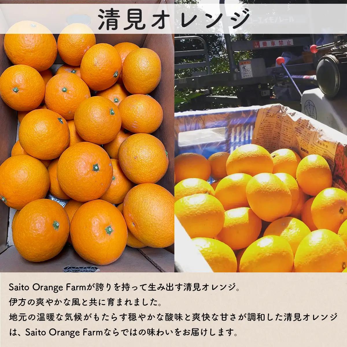 【先行予約】Saito Orange Farmの清見オレンジ5kg（2027年3月中旬頃より順次発送予定） IKTAQ007