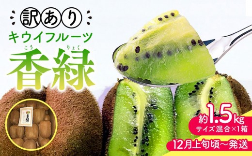 
            【12月上旬頃～発送】訳あり 香緑キウイ 約1.5kg
          