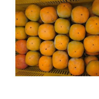 ふるさと納税 紀の川市 先行受付:【訳あり】甘くて人気のまーくん家のたねなし柿　2キロ(箱込み) |  | 01