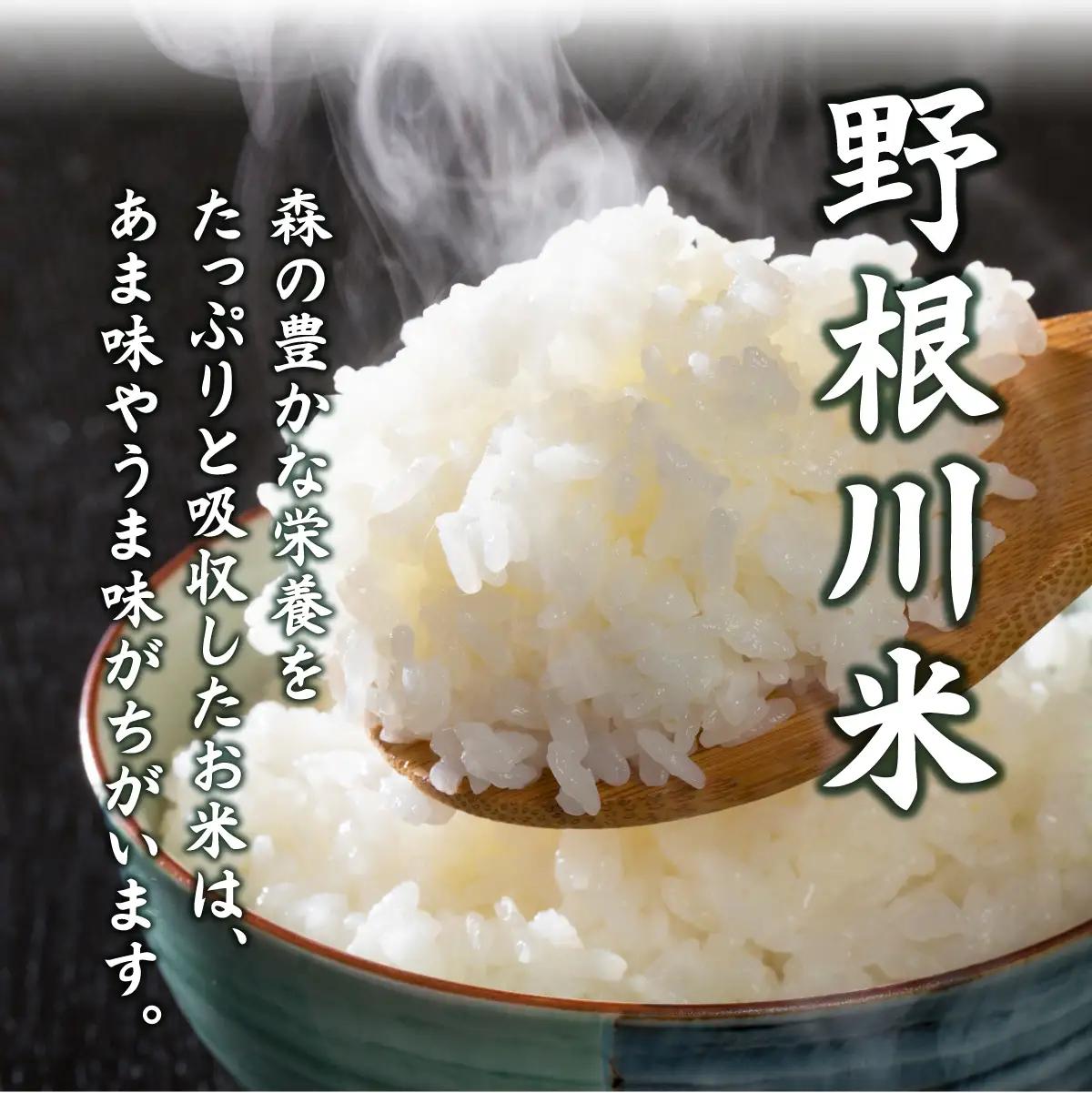 【先行予約】 ＜定期便全4回＞令和8年産 野根川米20kg（20kg×1袋） こしひかり
