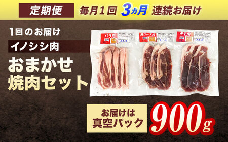 【3回定期便】天然イノシシ肉 おまかせ焼肉セット 900g (ロース・モモ・バラ) / ジビエ 猪肉 いのしし肉 ジビエ肉 肉じゃが用肉 イノシシ いのしし焼肉 長崎ジビエ 猪 ぼたん鍋 鍋肉 猪鍋 