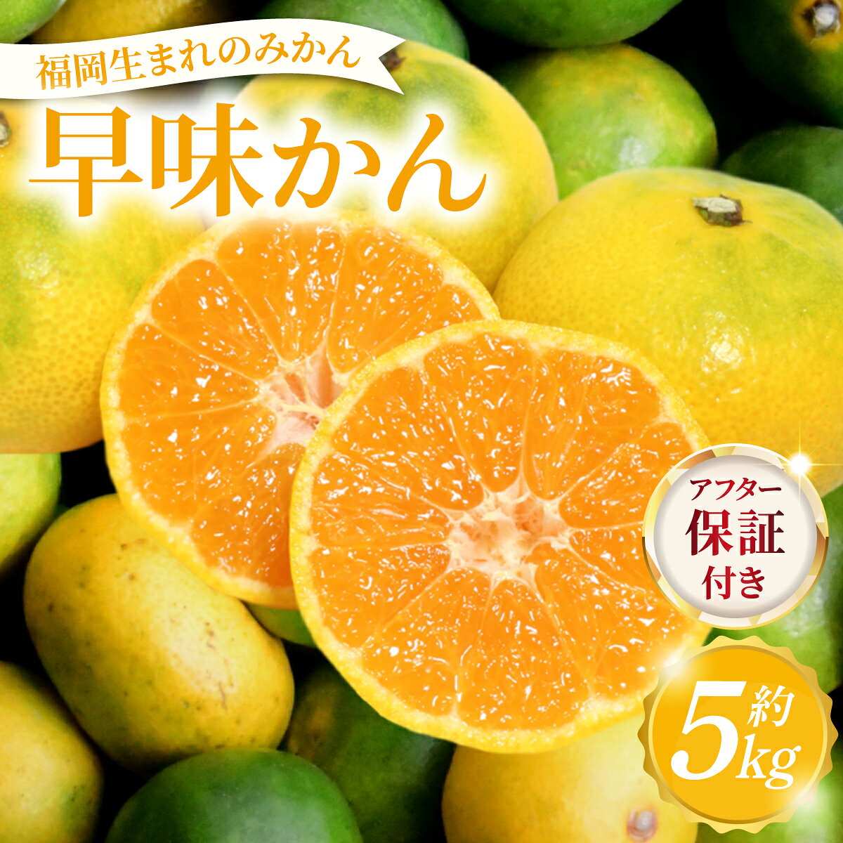 【ふるさと納税】 【産地直送】福岡県オリジナル品種 みかん 早味かん 約5kg（2026年9月以降発送）