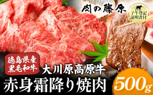 大川原高原牛 赤身霜降り焼肉用 500g 株式会社肉の藤原《30日以内に出荷予定(土日祝除く)》徳島県 佐那河内村 和牛 希少 佐那河内 さなごうち 大川原高原 牛肉 焼肉 贅沢 あっさり バーベキュー BBQ 弁当 冷凍 ギフト 贈答