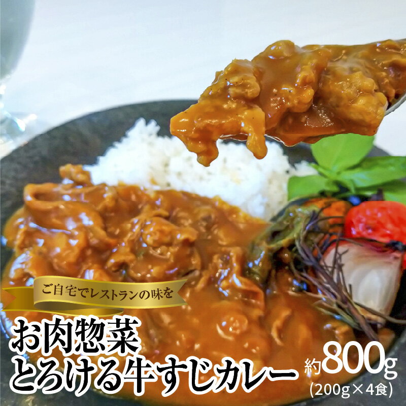 【ふるさと納税】碧南DELIシリーズ お肉惣菜 とろける牛すじカレー 約800g(200g×4食)