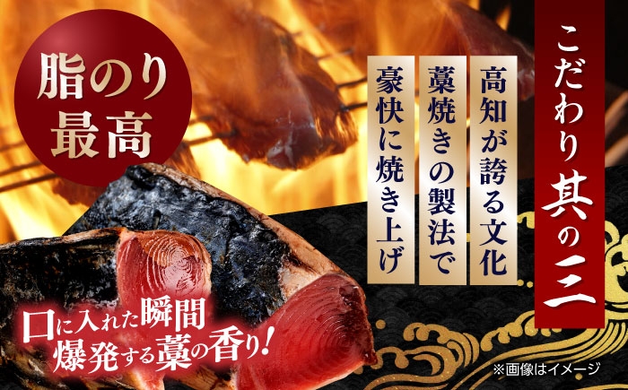 魚介類 魚 お魚 刺身 かつお カツオ 高知 新鮮 たたき タタキ 贈答 贈り物 プレゼント