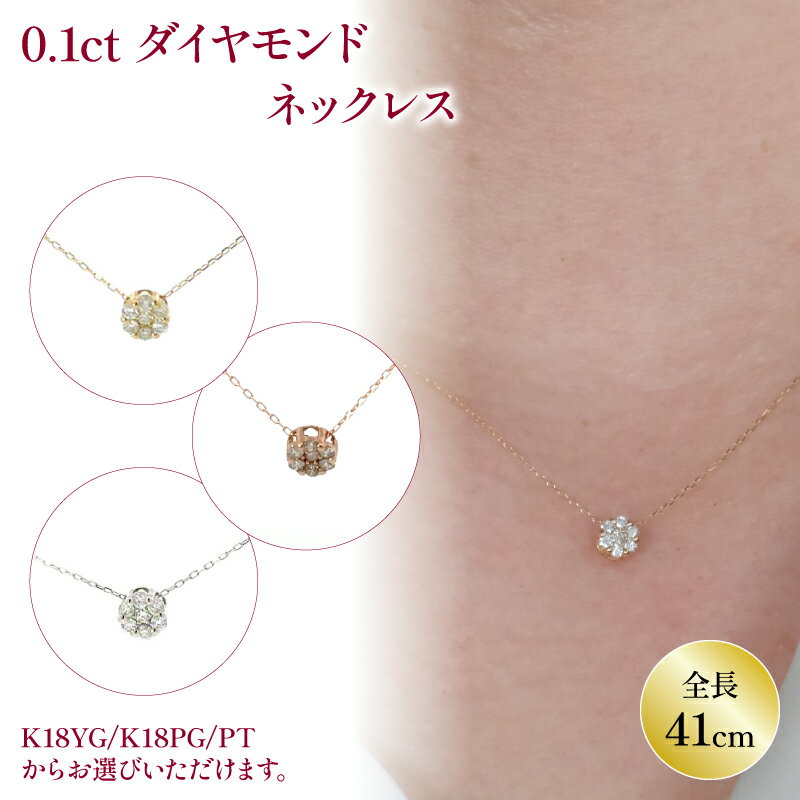 【ふるさと納税】 ダイヤモンドネックレス （ 0.1ct ）