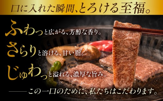 【1月発送】訳あり A5等級飛騨牛 カルビ切り落とし800g（400g×2パック）| 飛騨牛 牛肉 焼き肉 やきにく 和牛 黒毛和牛 牛肉 焼肉  焼き肉 牛肉 カルビ 飛騨牛 牛肉 焼き肉 やきにく