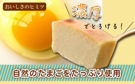 [037-a003] スイーツ たまごやさんの チーズケーキ（小）と たまごプリン 5個セット【自家製自然卵 濃厚チーズケーキ デザート NYチーズケーキ】