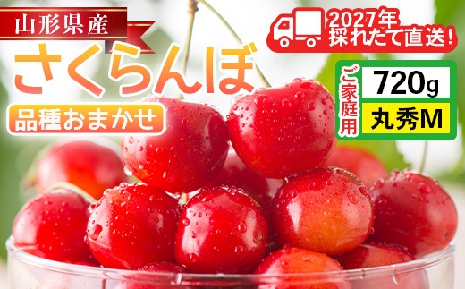 
                  ≪2027年先行予約≫ご家庭用 山形県産 品種おまかせ さくらんぼ(佐藤錦・紅秀峰など) 720g(180g×4パック) 丸秀品 M以上 フードパック詰め 2027年6月中旬から順次発送 果物 くだもの フルーツ サクランボ チェリー 自宅 家庭 産地直送 山形県 西川町 月山 FYN6-630
                