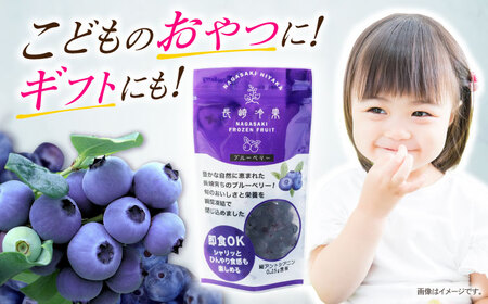 長崎冷果 ブルーベリー 3袋セット　/ 冷凍 冷凍フルーツ ブルーベリー ベリー / 諫早市 / エスジーエス株式会社[AHEQ004]