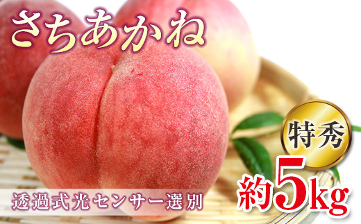 2025年出荷分 《先行予約》 福島県産 さちあかね 約5kg 特秀 糖度12度以上 透過式光センサー選別 2025年8月中旬～2025年9月中旬発送 先行予約 予約 伊達の桃 固め 桃 もも モモ 果物 くだもの フルーツ 国産 食品 F20C-779