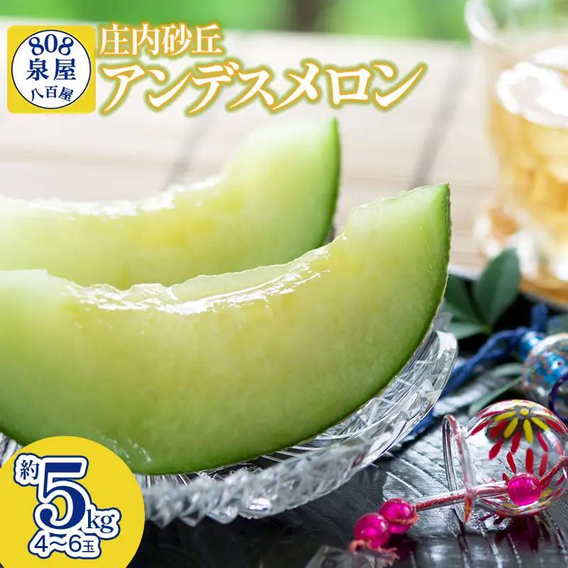 【令和8年産先行予約】泉屋商店の庄内砂丘アンデスメロン 約5kg（4～6玉入）　K-839　| メロン めろん フルーツ 果物 くだもの 夏 旬 デザート 産地直送 山形 鶴岡 庄内 東北 人気 おすすめ 美味しい 国産 お取り寄せ 返礼品