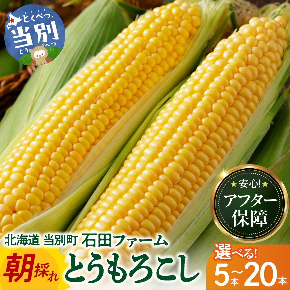 【ふるさと納税】＼今が発送時期／石田ファーム とうもろこし詰め合わせ 5本 10本 20本 セット 訳あり 【2026年8月上旬〜9月中旬出荷予定】【数量限定】朝採り 夢のコーン 甘獲娘 スターダスト 恵味ゴールド 恵味スター ほしつぶコーン わくわくコーン ロイシーコーン 北海道