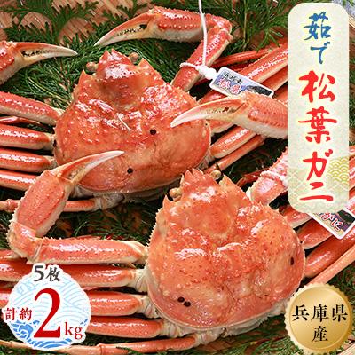 ふるさと納税 新温泉町 松葉ガニの本場より プロ茹で松葉ガニ(冷凍)　約400g×5枚