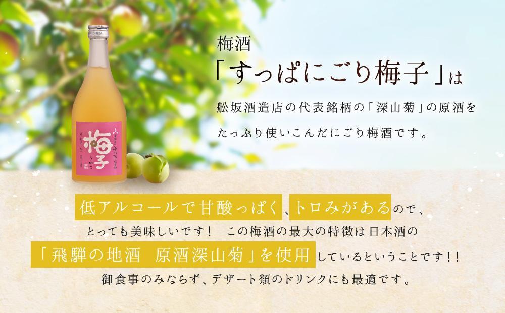 【通常配送】飛騨の地酒で造ったにごり梅酒「すっぱにごり梅子」 ｜ 年内配送が選べる 年内発送 日本酒 梅 人気 おすすめ 有限会社舩坂酒造店　FB002VC13