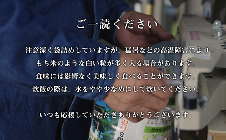 【令和7年産】【定期便12回】ふっくりんこ 玄米 10kg 《杉本農園》