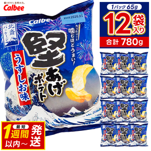 ポテトチップス 堅あげポテト うすしお味 カルビー 65g×12袋 (BG030)
