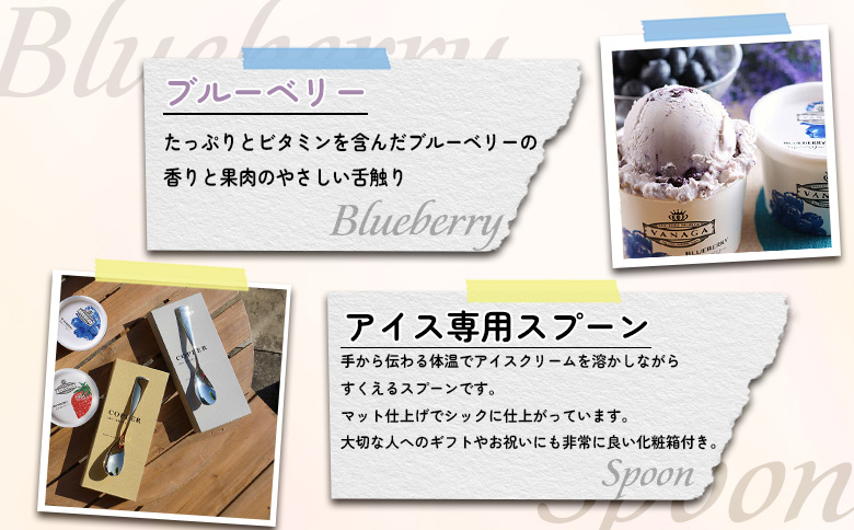 VANAGAプレミアムご当地アイス24個とアイス専用スプーン（ゴールド1本・シルバー1本）の26点セット | アイスクリーム アイス 濃厚 バニラ デザート 島根県雲南市/やまざと.com[AICN0