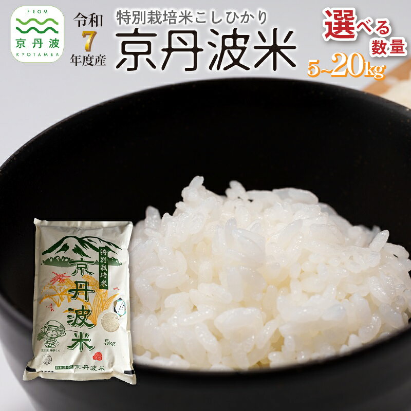 【ふるさと納税】特別栽培米 こしひかり 京丹波町産 選べる 数量 5kg 10kg 15kg 20kg 令和7年産米 精米 お米 京都 丹波 コシヒカリ 特A獲得 農家直送 ※北海道・沖縄・その他離島は配送不可