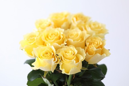 Flower Bouquet(バラのブーケ)10本　黄系　花束 お祝い プレゼント 誕生日 ギフト 贈答 記念日 AN-0001-05