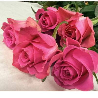 ふるさと納税 磐田市 2月発送!同級生コンビでお届けするピンクバラのブーケとおいしいお米(精米)のセット・栄養剤付き! |  | 02