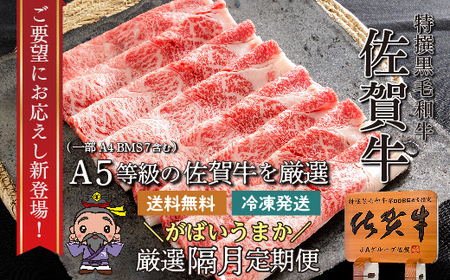 ｎ－６ 【偶数月に６回発送】大人気！佐賀牛 赤身の定期便