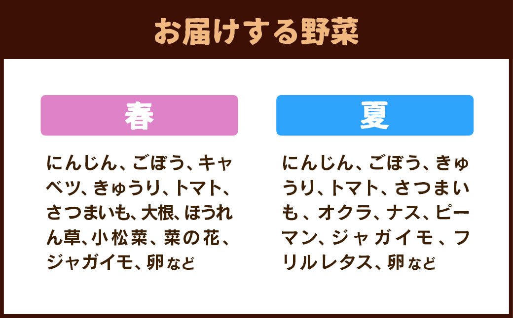 新鮮たまごと旬の野菜セット ／ 生卵 タマゴ 詰合せ セット 熊本県 特産品