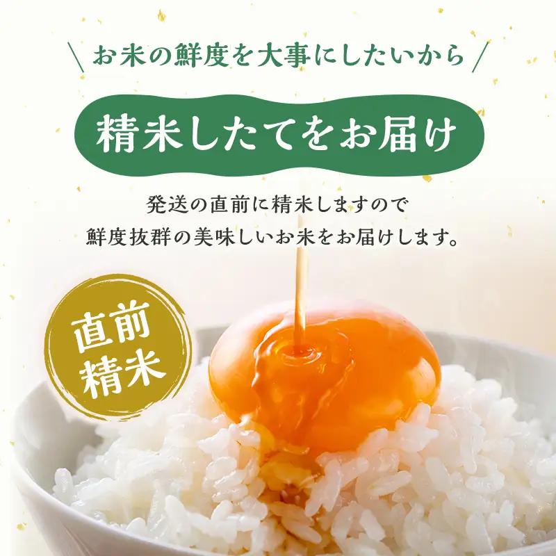 【先行予約 令和8年産】 雪国逸品 無洗米2kg 越後魚沼郷    魚沼産コシヒカリ