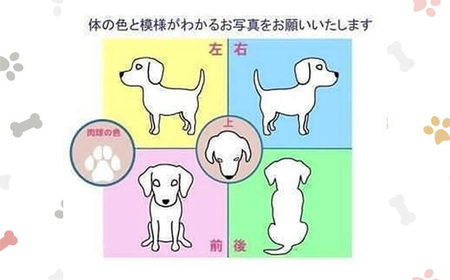 625 オーダー蓋付キャニスター 1個（高さ9.6cm/直径8.2cm　シリコンパッキング蓋付き）【まめつぶはうす】