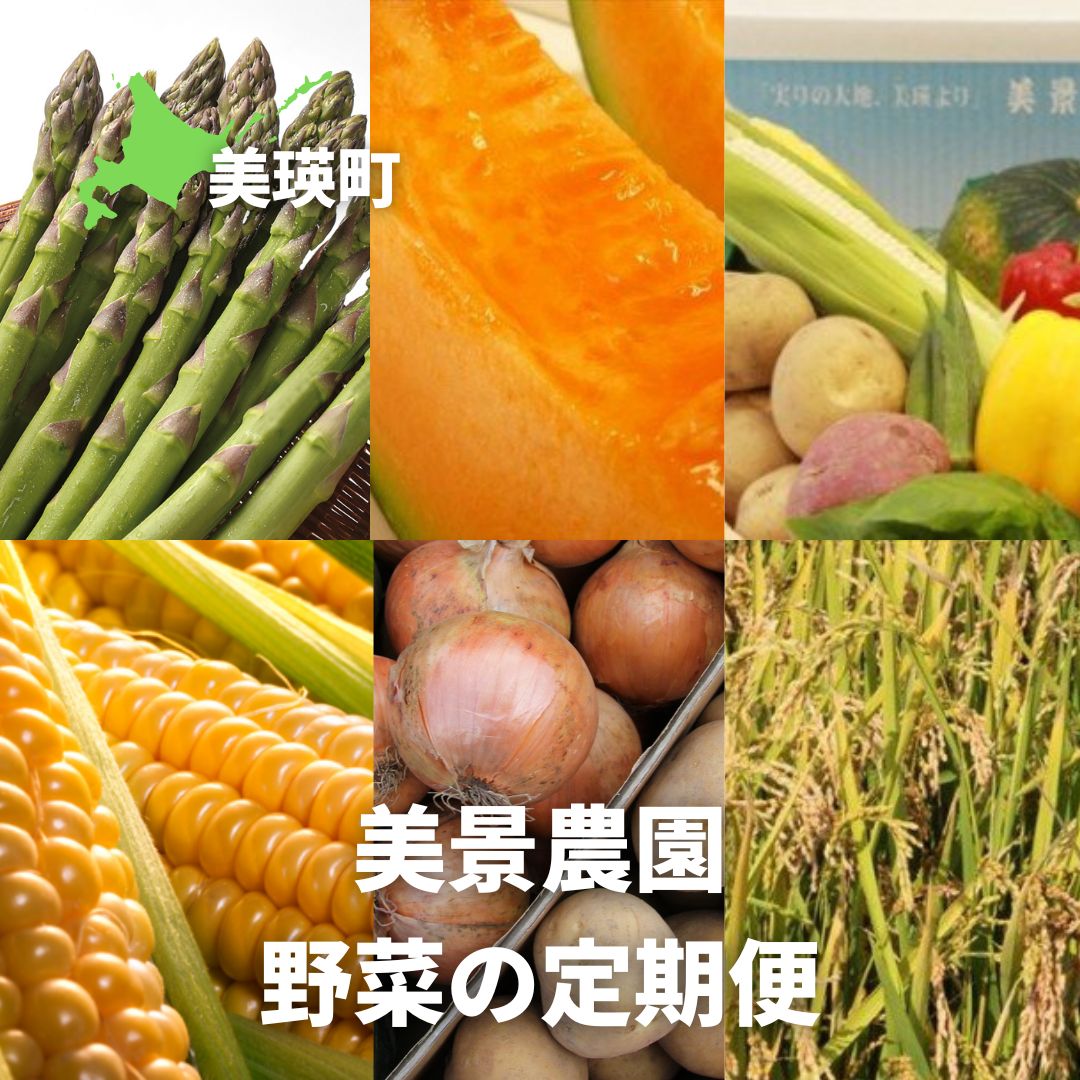 【ふるさと納税】野菜 定期便【令和9年産 先行予約】5回便 6回便 野菜セット 美景農園 アスパラ メロン とうもろこし 夏野菜 秋野菜 米 | 詰め合わせ セット アスパラガス 赤肉メロン トウモロコシ じゃがいも 人参 玉ねぎ かぼちゃ お米 こめ コメ ななつぼし