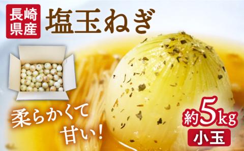 【2025年3月中旬～発送】【柔らかくて甘い！】塩 玉ねぎ 約5kg（小玉） / 南島原市 / 長崎県農産品流通合同会社 [SCB054]