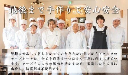 チーズケーキ 5号 トロイカ 濃厚チーズケーキ
