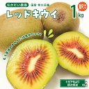 【ふるさと納税】【訳あり】希少品種「 レッドキウイ 」国産 約1kgわけあり 珍しい品種 栽培期間中 防腐剤 化学肥料 農薬不使用 キウイ キウイフルーツ フルーツ 果物 甘い 糖度 18度 19度 20度 ビタミンC 食べきりサイズ お取り寄せ 国産 国内産 広島県 呉市