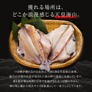 釧之助 極旨つぼだい半身150g ×2パック セット 北海道 釧路 ふるさと納税 つぼ鯛 鯛 一夜干し干物 魚 魚介 海産物 高級魚 F4F-8050