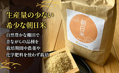 玄米 先行受付 ホタル舞う 里山の棚田米 4kg 朝日 2kg×2袋 米 玄米