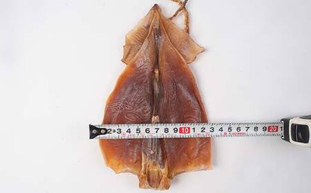 小泊名産 極上するめ 5袋セット 【中泊町特産物直売所ピュア】 イカ 烏賊 海鮮 乾物 BBQ スルメ スルメイカ するめ するめいか 干物 おつまみ 魚介 無添加 中泊町 青森 F6N-271