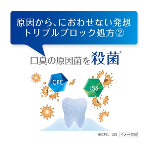 ブレスラボ マルチ＋歯周ケア マイルドミント 90g 3本セット | 歯磨き粉 歯磨き ハミガキ デンタルケア フッ素 虫歯予防 口臭予防 歯周病予防 日本製
