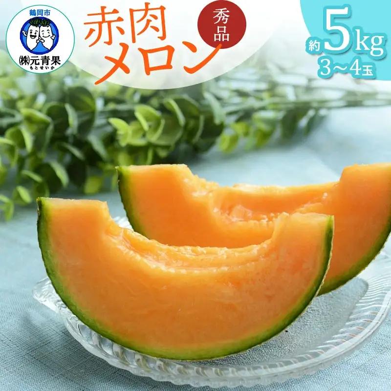 【令和8年産先行予約】 庄内砂丘赤肉メロン 秀品 大玉 約5kg (3～4玉) 山形県鶴岡市産　株式会社 元青果