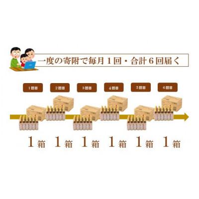 ふるさと納税 羽咋市 【毎月定期便】能登のはとむぎ茶　500ml×24本全6回 |  | 03