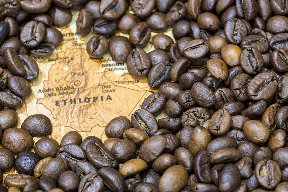 コーヒー エチオピア イルガチェフェG1 （3袋 計約500g） 宮城県利府町（豆）