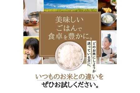 【定期便】令和7年産 5kg 【12ヵ月連続お届け】 計60kg 広島県産 お米マイスター厳選米 【出荷直前精米】