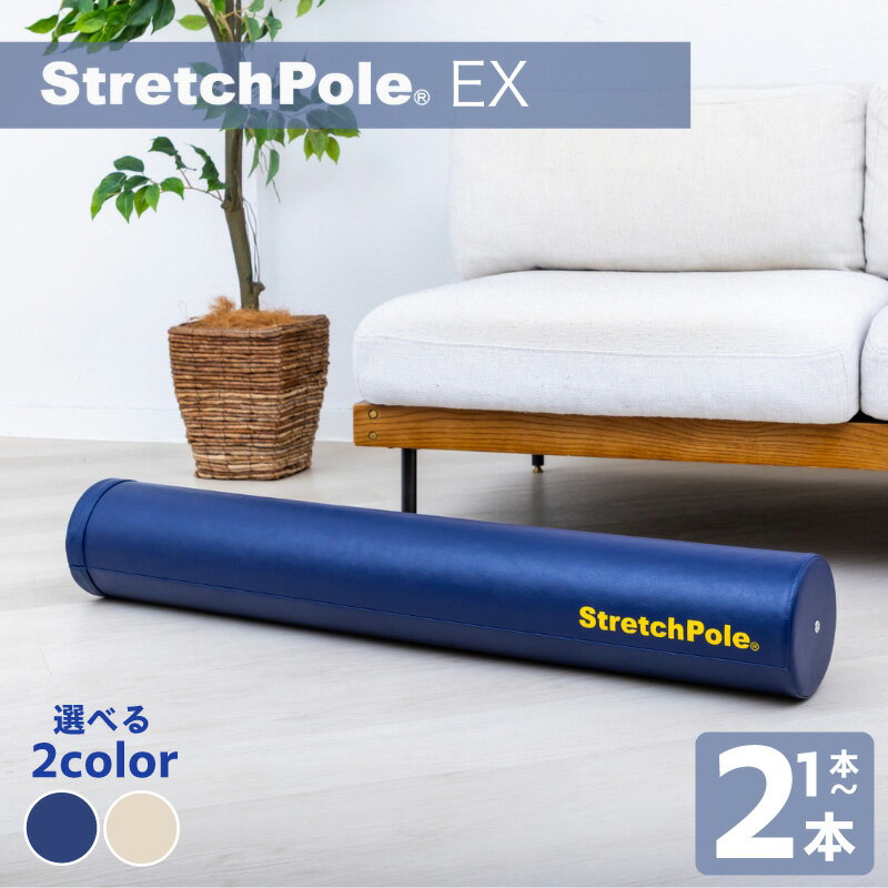 【ふるさと納税】ストレッチポール 長さ 98cm × 直径 15cm 正規品 セット 選べる 姿勢改善 コンディショニング インナーマッスル トレーニング エクササイズ DVD付き 器具 セルフケア ヨガ ピラティス 体幹 腰痛 肩こり 背骨 運動 福祉貢献 大阪府 泉佐野市 送料無料